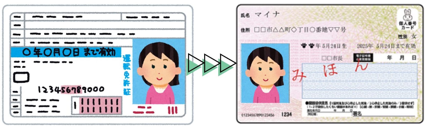 driver's _icense_my_number