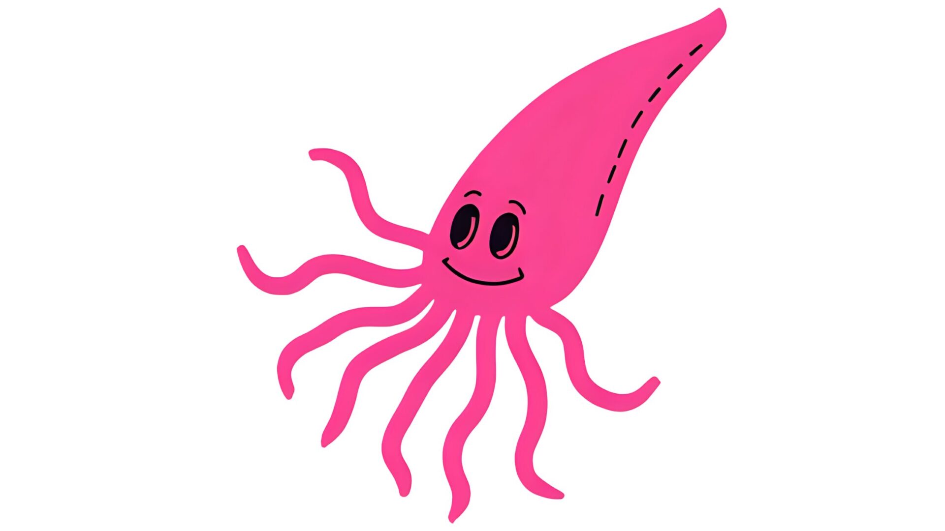 common_squid